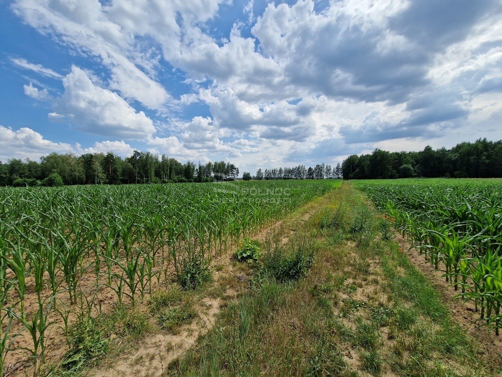 Działka rolna na sprzedaż Stelmachowo  39 700m2 Foto 14