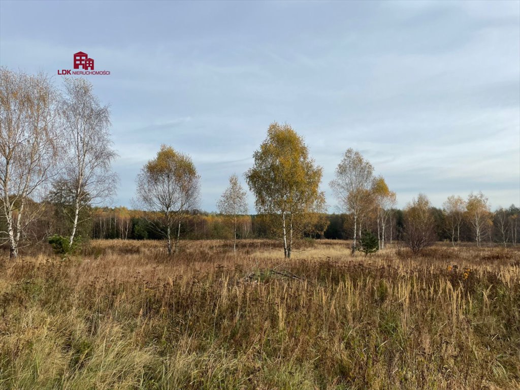 Działka budowlana na sprzedaż Zielona Góra  35 300m2 Foto 10