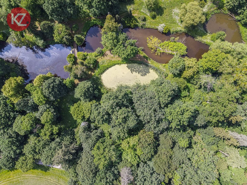 Lokal użytkowy na sprzedaż Jabłonowo  1 767m2 Foto 7