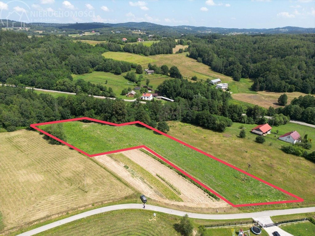 Działka 81 arów w Ołpinach - las, prąd, gaz, spokój Ołpiny  8 100m2 Foto 1