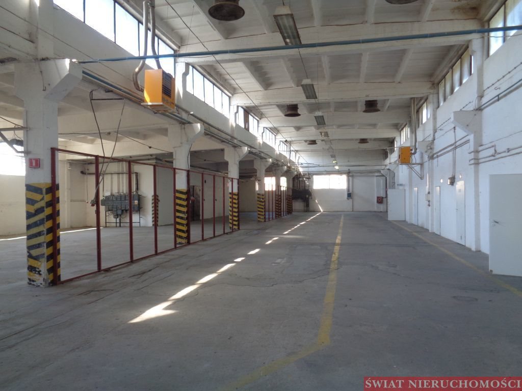 Magazyn na sprzedaż Paczków  2 732m2 Foto 1
