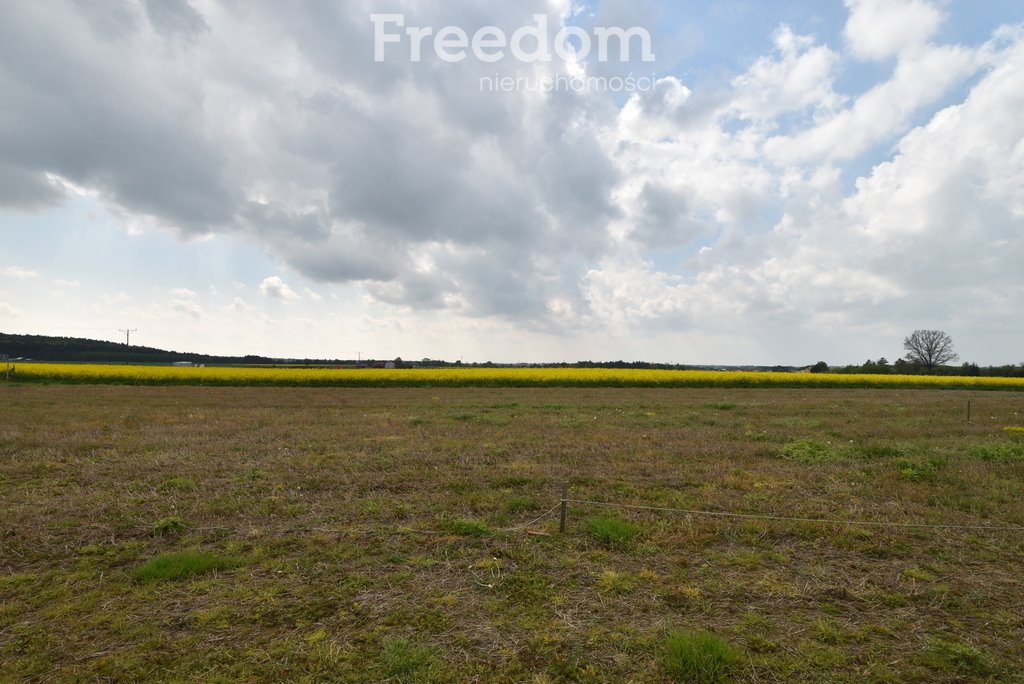 Działka inna na sprzedaż Wólka Bałtowska-Kolonia  930m2 Foto 6