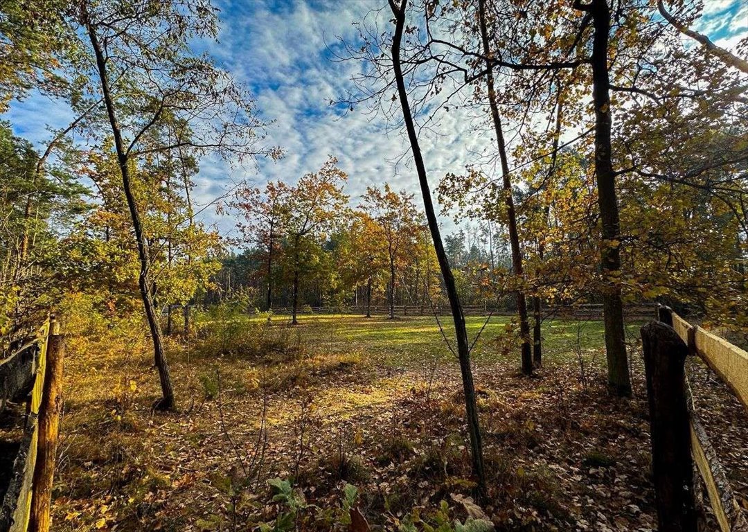 Działka budowlana na sprzedaż Ostrołęka  1 500m2 Foto 12