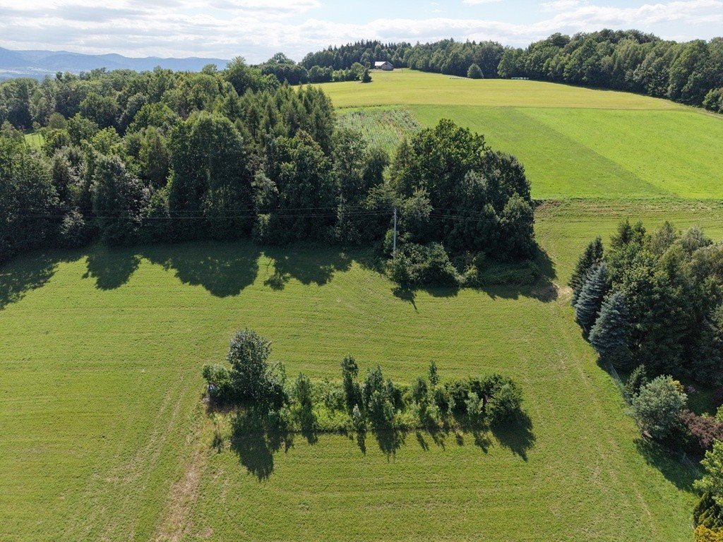 Zapraszam do działki z widokiem na Beskidy i las Dzięgielów, Kamienna  2 873m2 Foto 1