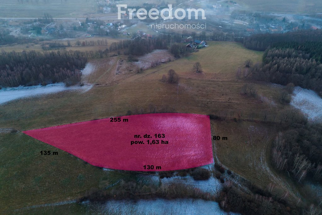 Działka rolna 16 300 m² z potencjałem inwestycyjnym polecam Barcinek  16 300m2 Foto 1