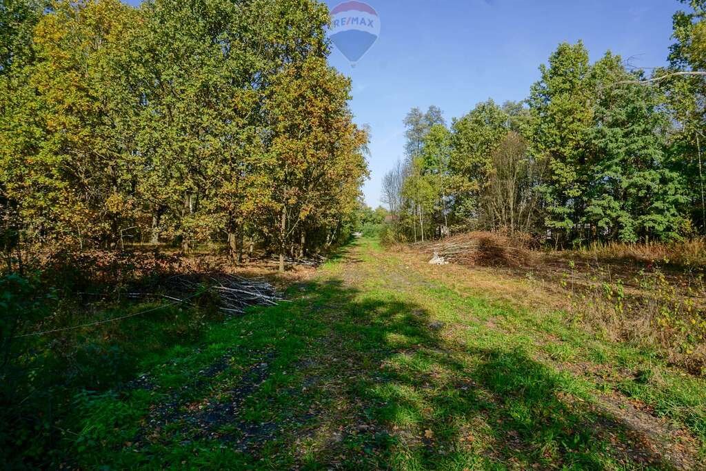 Działka budowlana na sprzedaż Puszcza Mariańska, Akacjowa  1 300m2 Foto 6