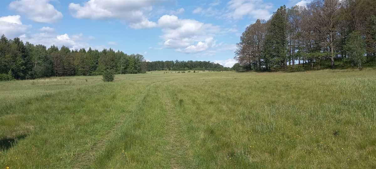 Działka rekreacyjna na sprzedaż Myślinów, Myślinów  3 000m2 Foto 3