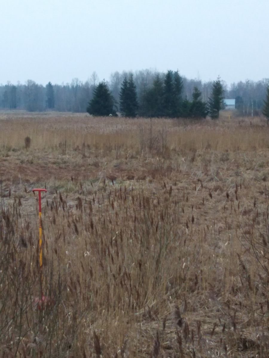 Działka gospodarstwo rolne na sprzedaż Sobolewo  16 000m2 Foto 4