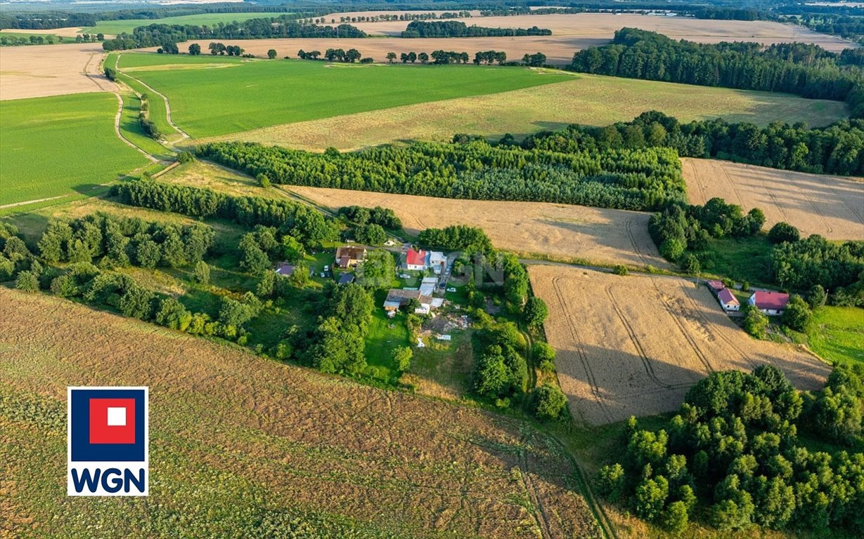 Działka siedliskowa na sprzedaż Dargoleza, Dargoleza  4 520m2 Foto 8