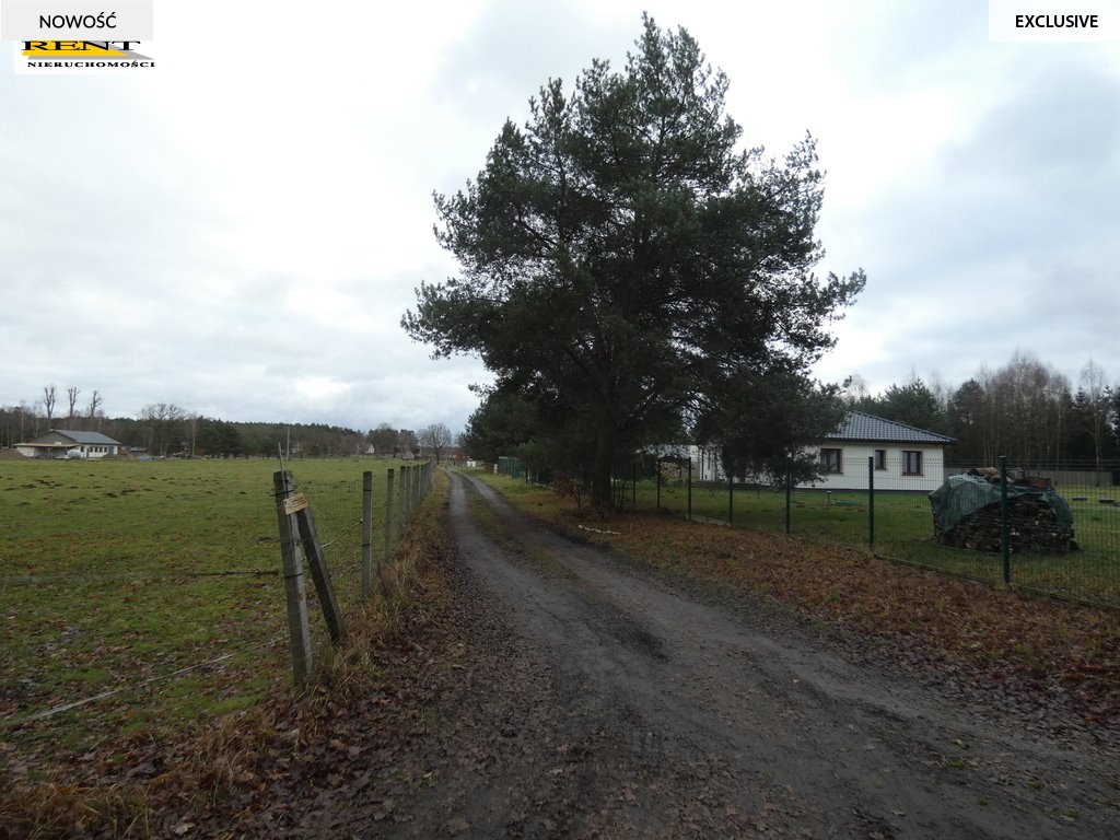 Działka budowlana na sprzedaż Krzywice  3 000m2 Foto 5