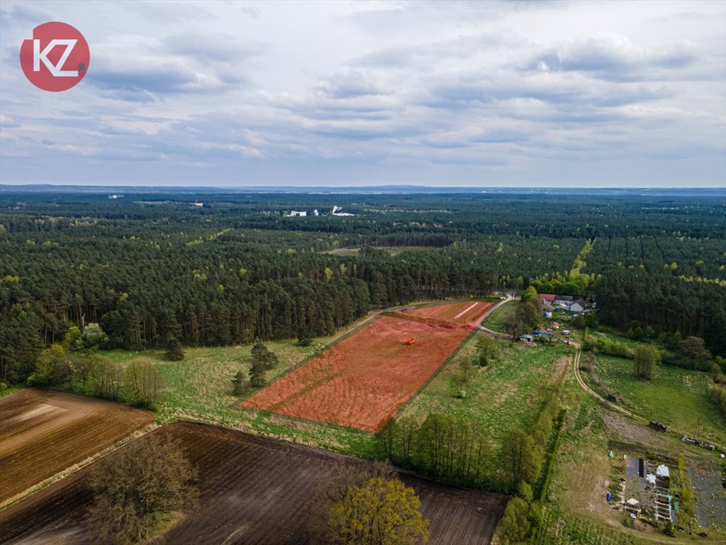 Działka inna na sprzedaż Piła, Łęgi  3 142m2 Foto 3