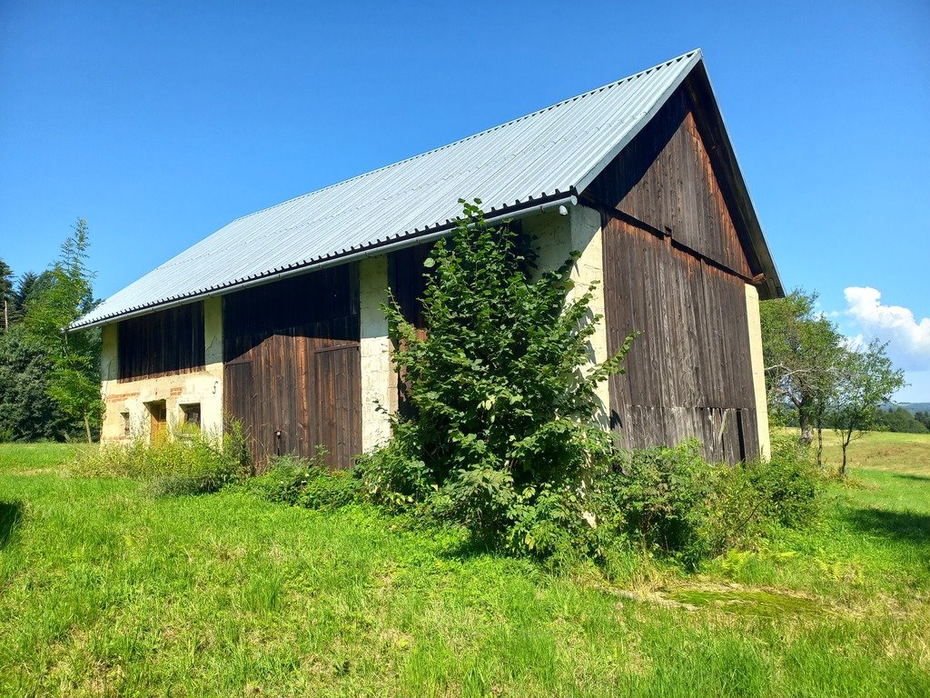 Działka budowlana na sprzedaż Lutcza  96 200m2 Foto 6