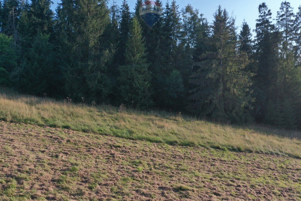 Działka budowlana na sprzedaż Zakopane  3 700m2 Foto 18