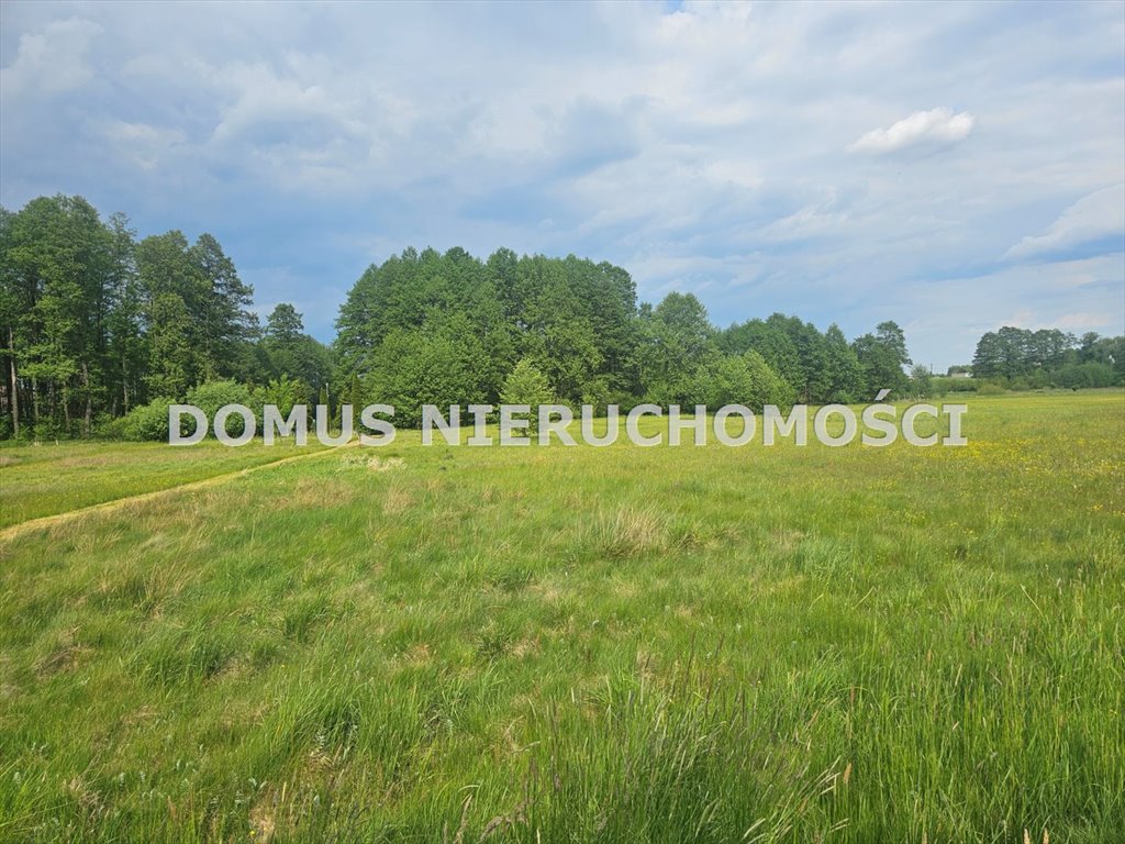Działka 1720 m² w Olszowcu - spokojna okolica polecam Olszowiec  1 720m2 Foto 1