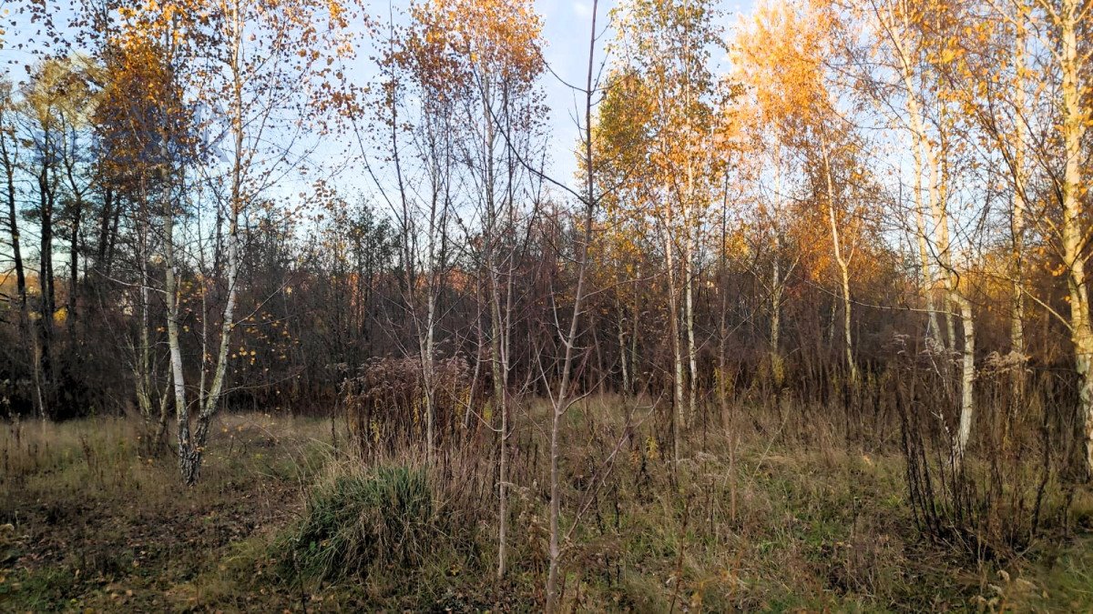 Działka budowlana na sprzedaż Nowe Mostki  2 300m2 Foto 1