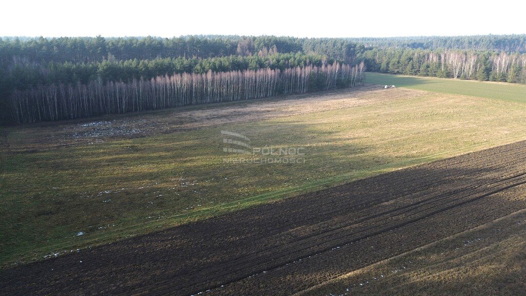 Działka rolna na sprzedaż Nowa Wieś  15 730m2 Foto 4