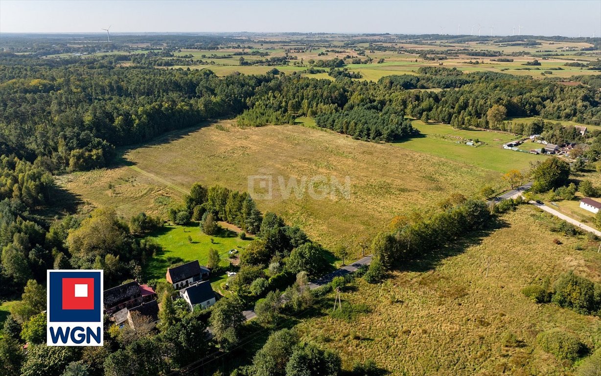 Działka siedliskowa na sprzedaż Kanin, Kanin  3 101m2 Foto 10