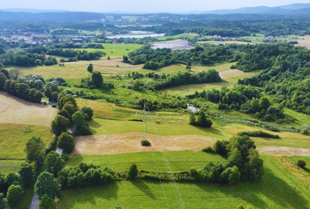 Działka rolna na sprzedaż Jankowce  2 900m2 Foto 4