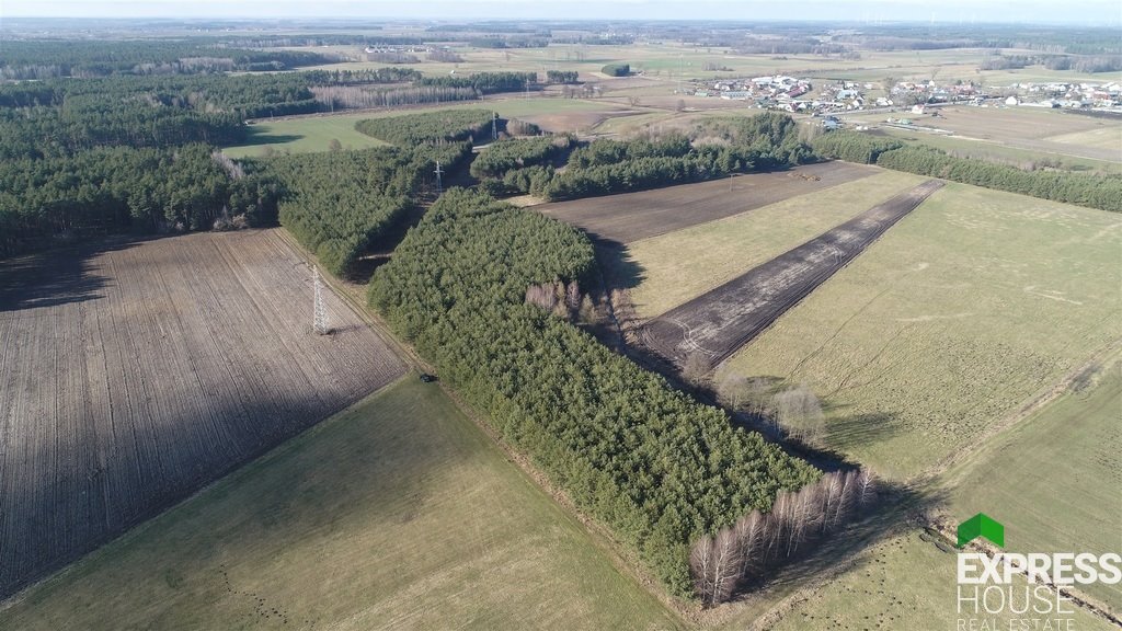 Leśna działka 8,45 ha z dostępem przy DK 65 i planowaną trasą S16 Ciemnoszyje  84 500m2 Foto 1