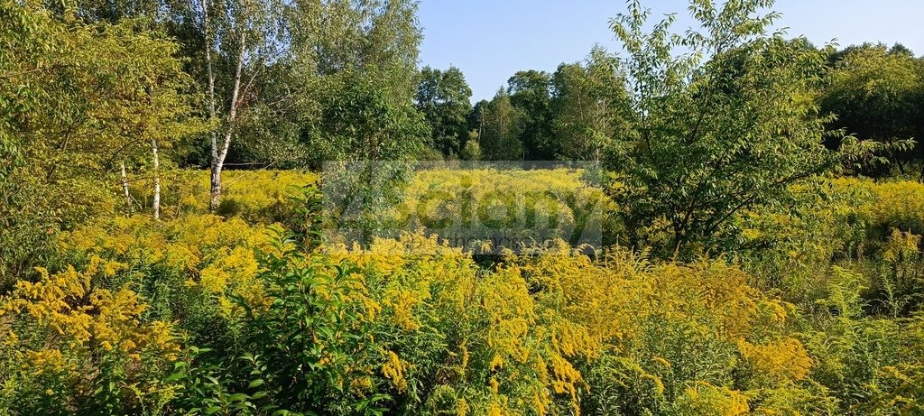 Działka budowlana 2210 m2 z mediami i MPZP w Milanówku Milanówek  2 210m2 Foto 1