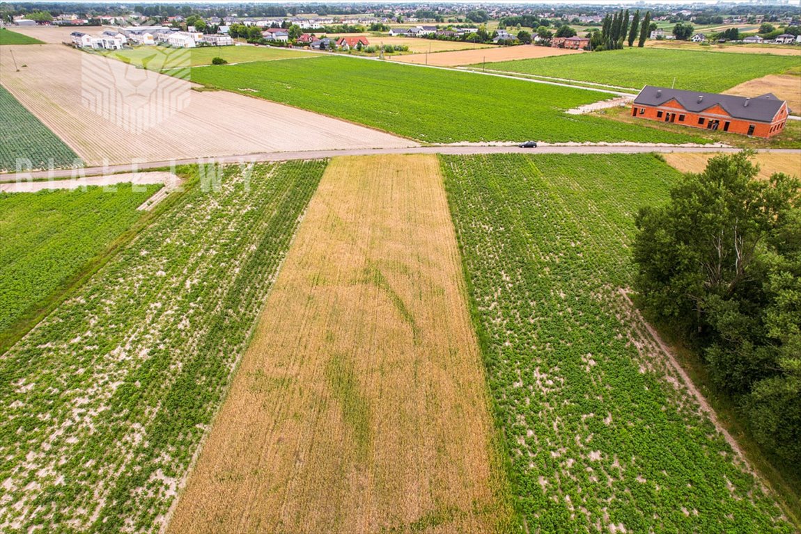 Działka przemysłowo-handlowa na sprzedaż Łady, Grudzi  4 157m2 Foto 7