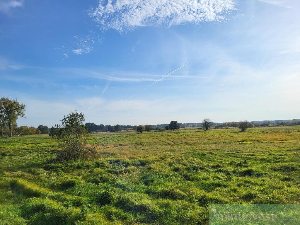 Działka rolna na sprzedaż Żarnowo  4 235m2 Foto 1