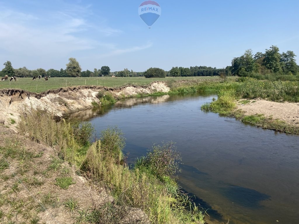 Działka siedliskowa na sprzedaż Wólka Paplińska  16 400m2 Foto 1