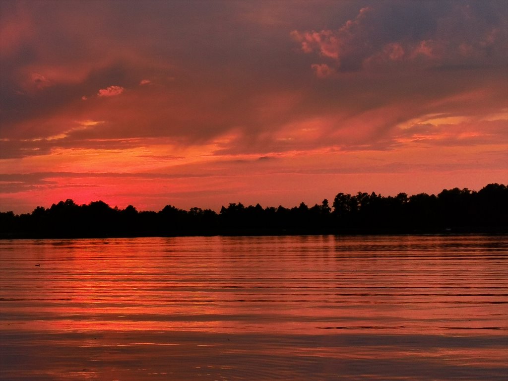 Działka budowlana na sprzedaż Wałcz, Chłodna, Rzeczna  5 018m2 Foto 15