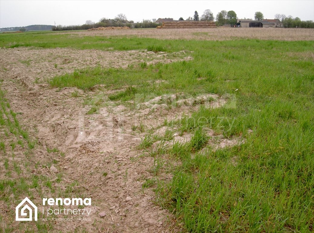 Działka budowlana na sprzedaż Gleźnowo  3 004m2 Foto 2