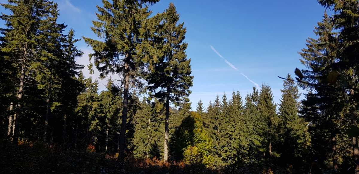 Działki rolne z widokiem na Góry Ślężańskie, 12 100 m2 Sobótka  7 400m2 Foto 1