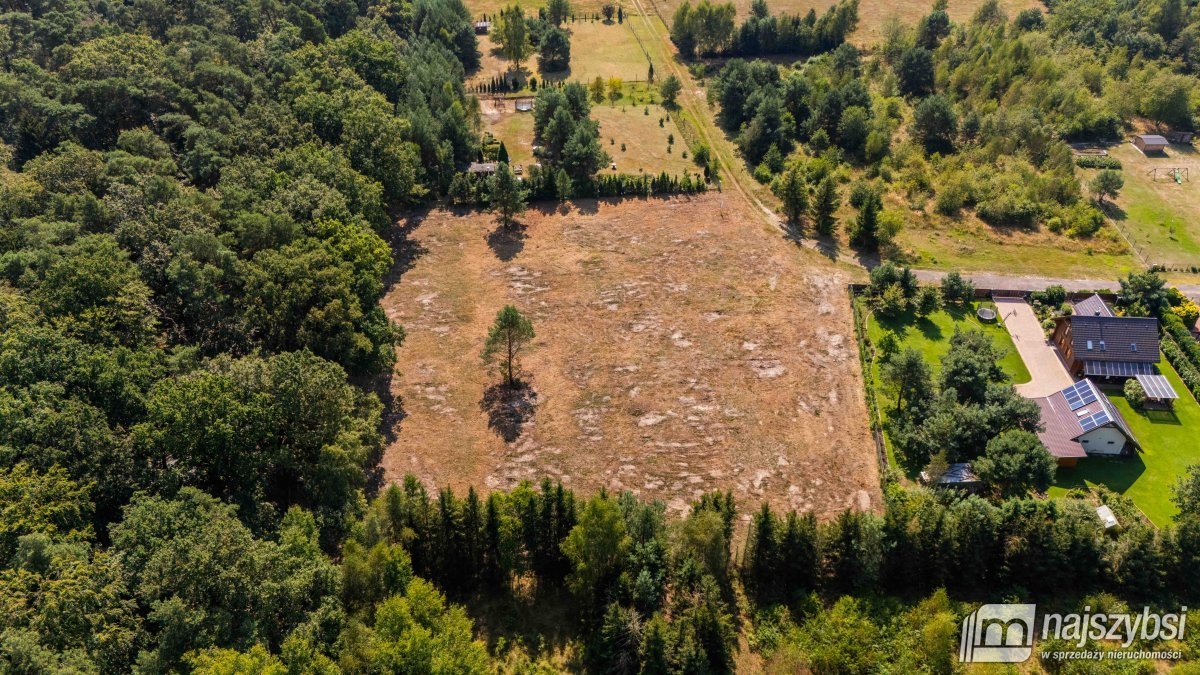 Działka budowlana na sprzedaż Krępsko, Dębowa  1 141m2 Foto 5