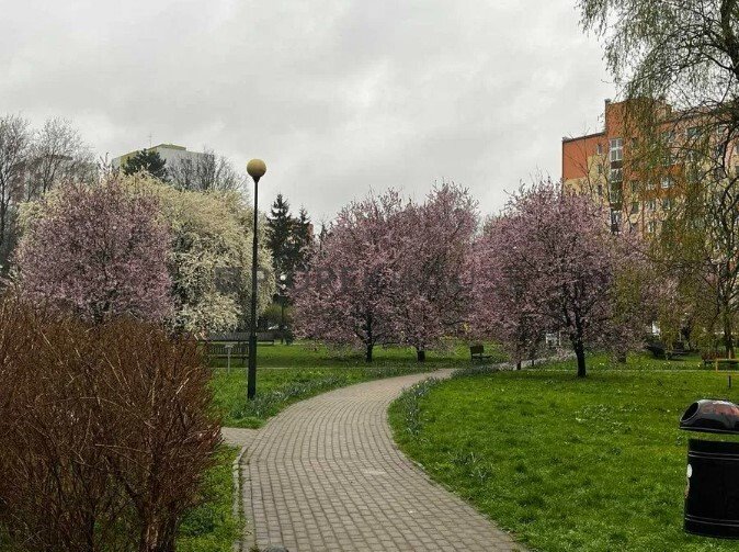 Mieszkanie trzypokojowe na sprzedaż Warszawa, Bielany, Wojciecha Bogusławskiego  65m2 Foto 3