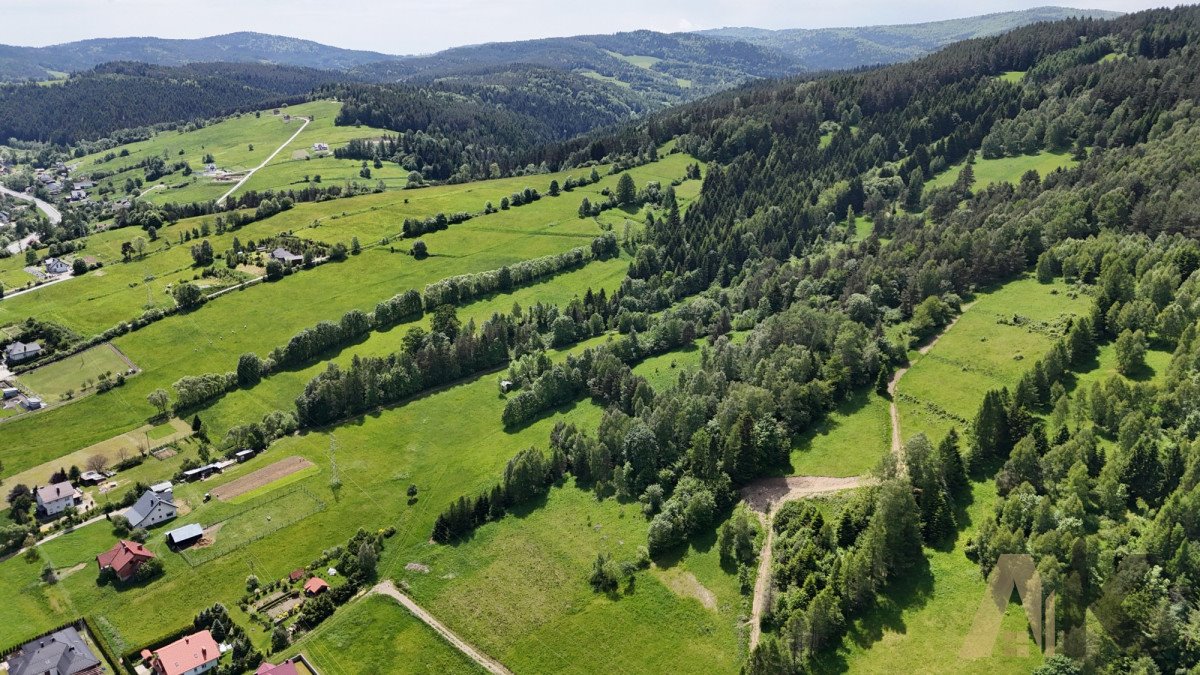 Działka rolna na sprzedaż Nowa Wieś  38 500m2 Foto 11