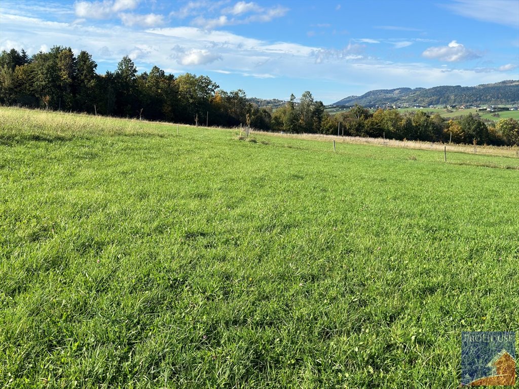 Działka budowlana na sprzedaż Męcina  6 600m2 Foto 6