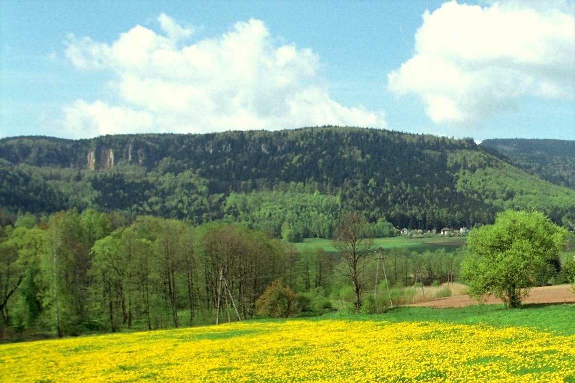 Działka gospodarstwo rolne na sprzedaż Radków  671m2 Foto 2