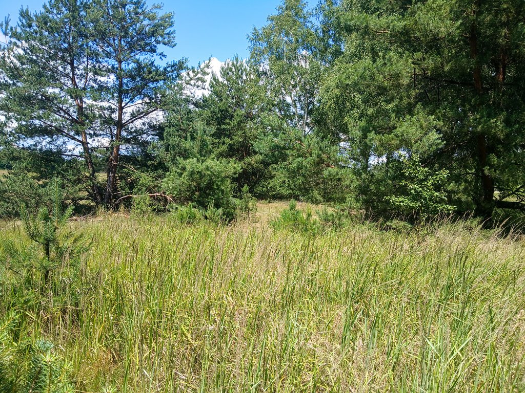 Działka budowlana na sprzedaż Iwno  22 800m2 Foto 6