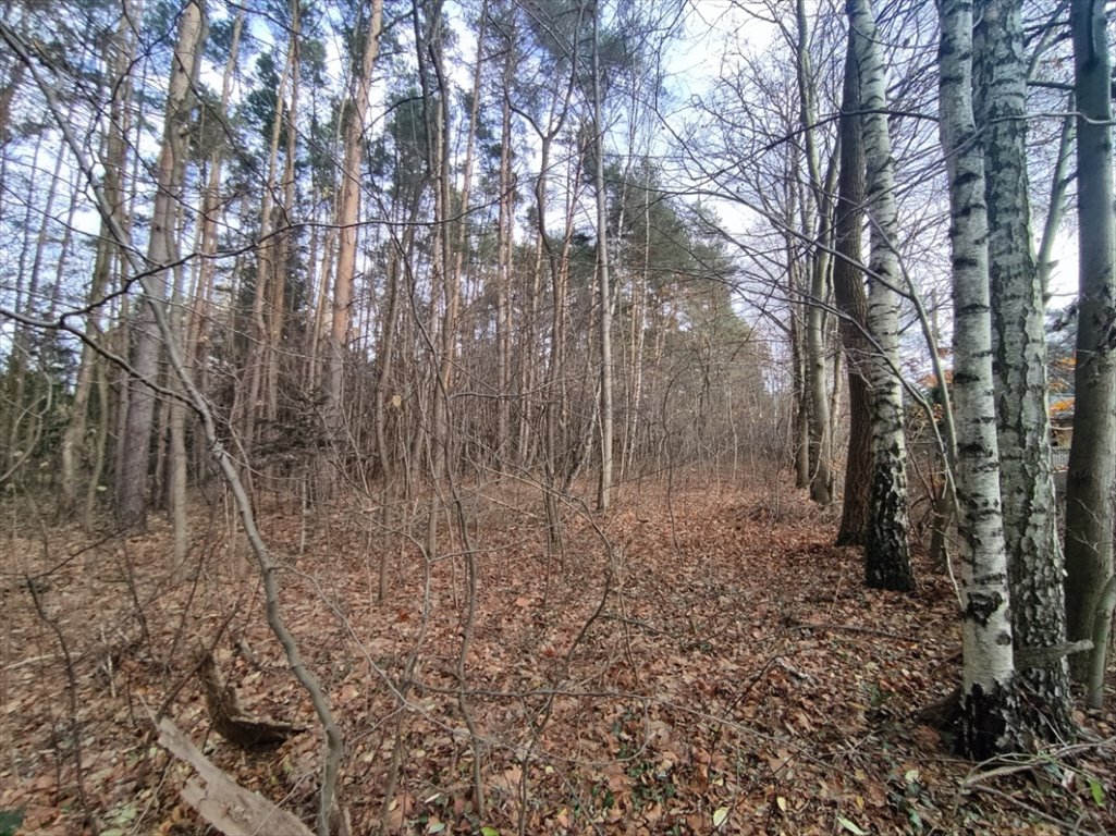 Działka budowlana na sprzedaż Tuszyn, Rydzynki, Sadowa  1 500m2 Foto 4