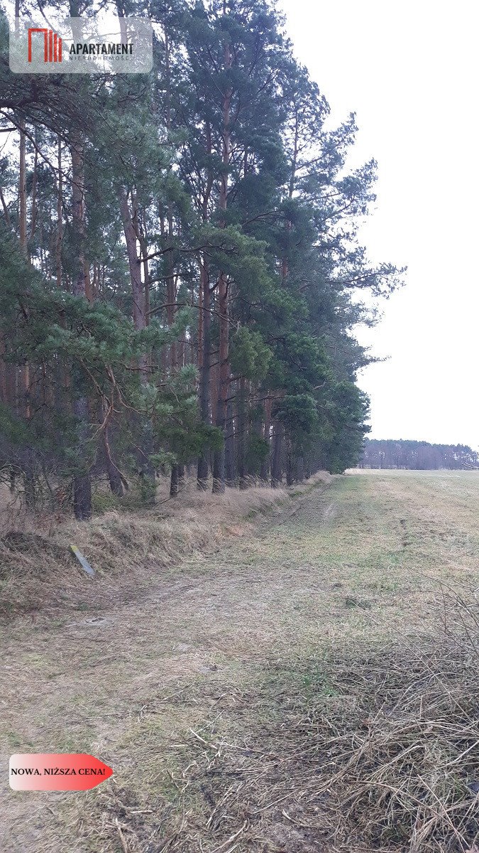 Działka budowlana na sprzedaż Kowalewo  962m2 Foto 5