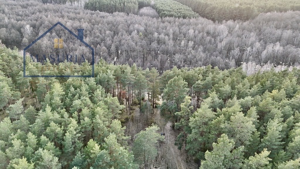 Działka leśna 8 300 m² w Łapinóżu - polecam: Łapinóż