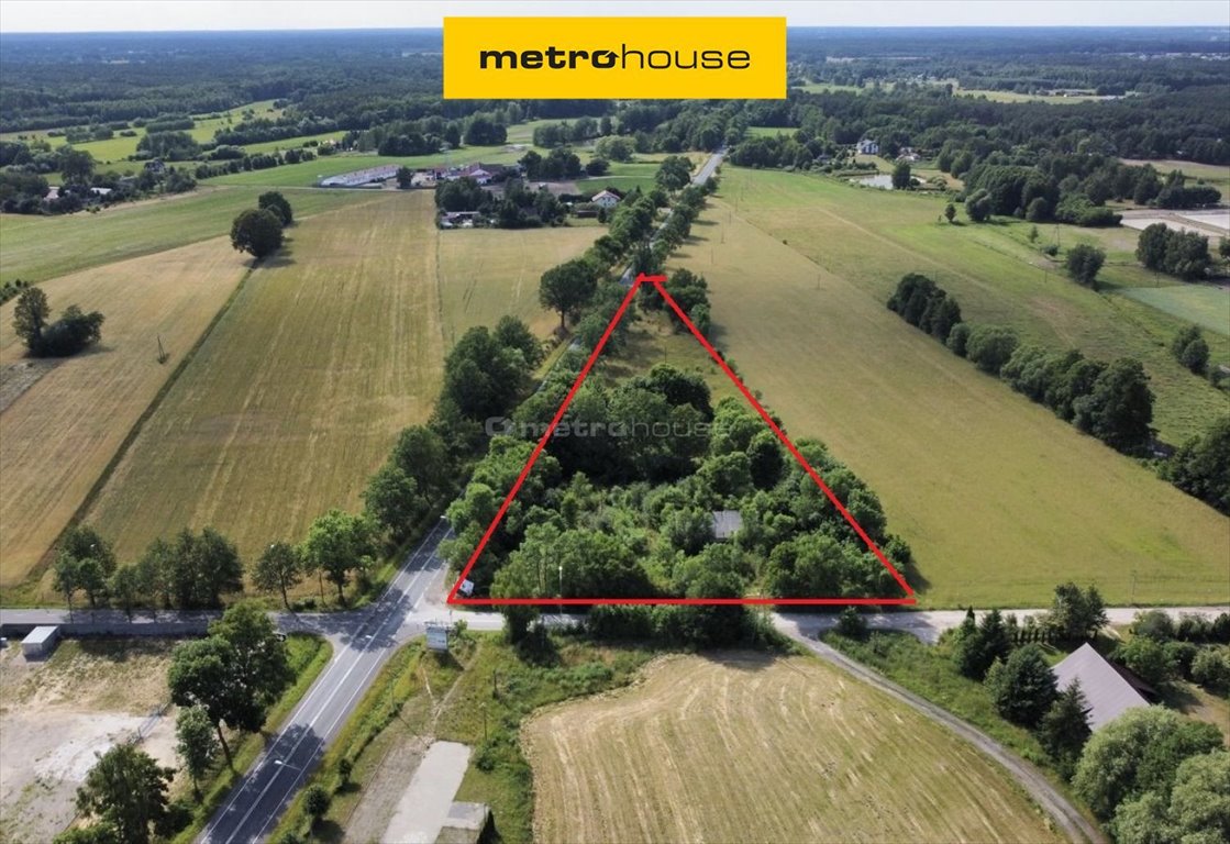 Działka budowlana na sprzedaż Nowy Adamów  9 056m2 Foto 1