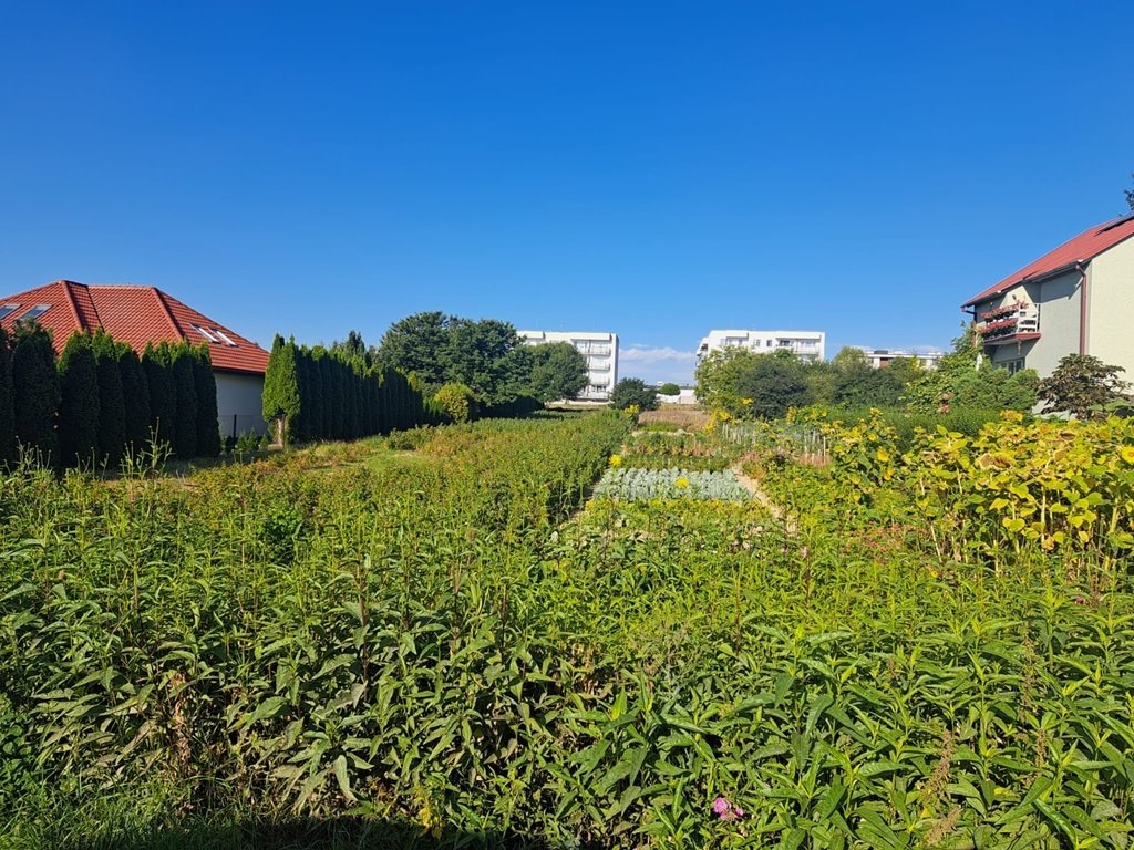 Działka budowlana na sprzedaż Świdnik, Działkowca  2 873m2 Foto 1