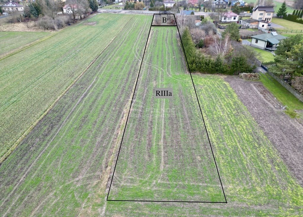 Działka budowlana na sprzedaż Jatutów  3 000m2 Foto 3