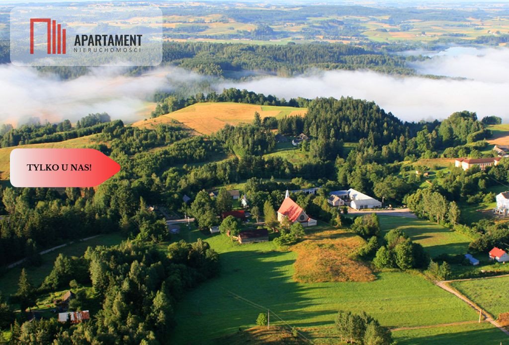 Działka gospodarstwo rolne na sprzedaż Smolniki  3 000m2 Foto 2