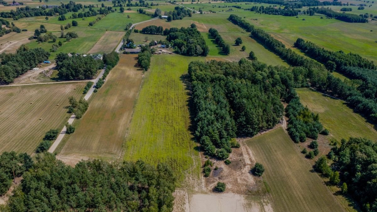 Działka budowlana na sprzedaż Marianowo  29 831m2 Foto 3