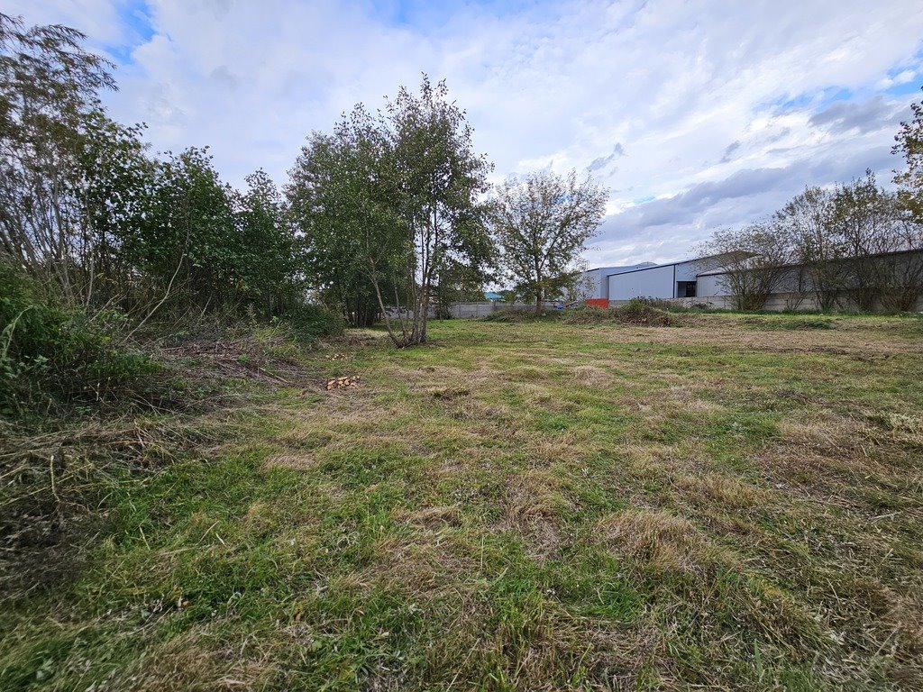 Działka budowlana na sprzedaż Aleksandrów Łódzki, Wojska Polskiego  1 000m2 Foto 8