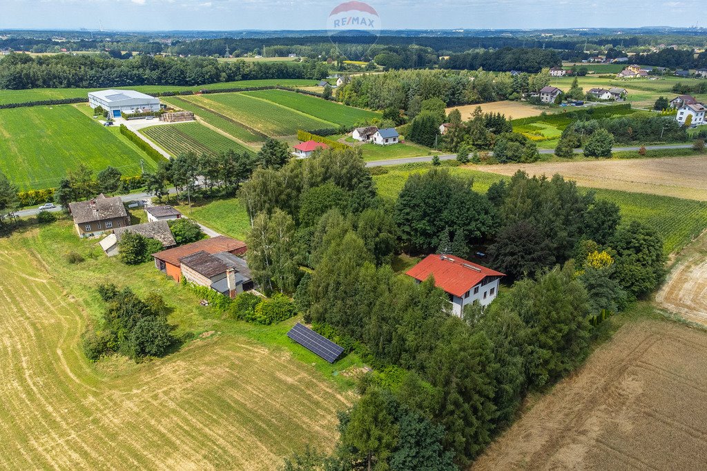 Lokal użytkowy na sprzedaż Pruchna  23 340m2 Foto 16