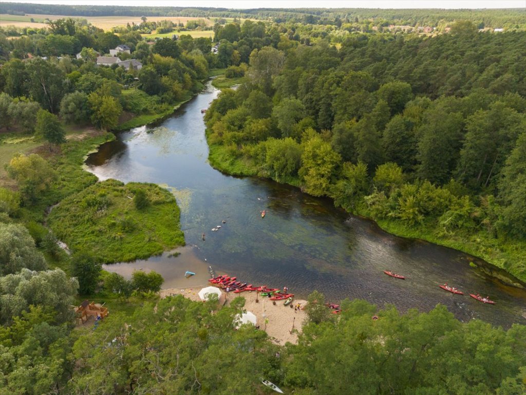 Działka budowlana na sprzedaż Szczypiorno  2 801m2 Foto 8