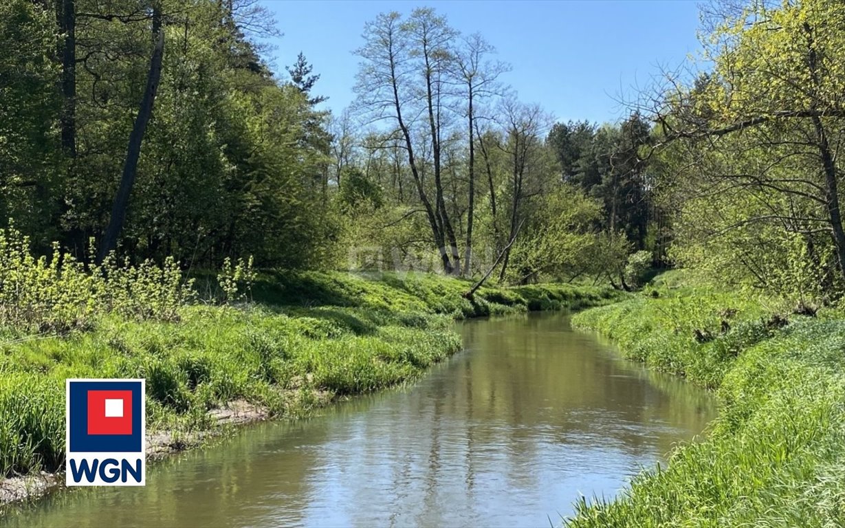 Działka nad rzeką Wilgą w Cyganówce – spokój i natura Cyganówka, Cyganówka, Cyganówka  9 280m2 Foto 1