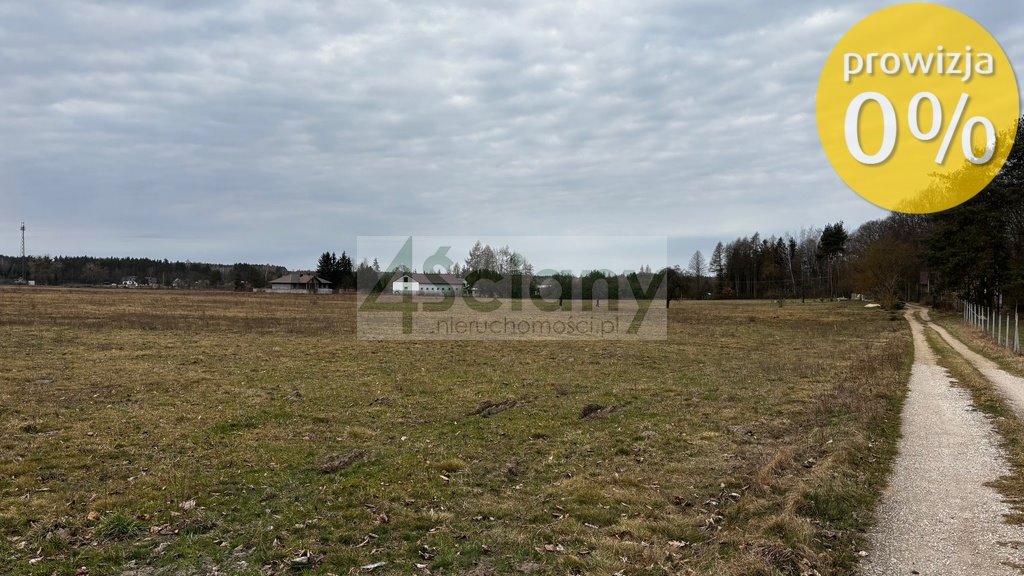 Działki rolne 62 tys. m² z dostępem do drogi - polecam! Chudolipie  62 186m2 Foto 1