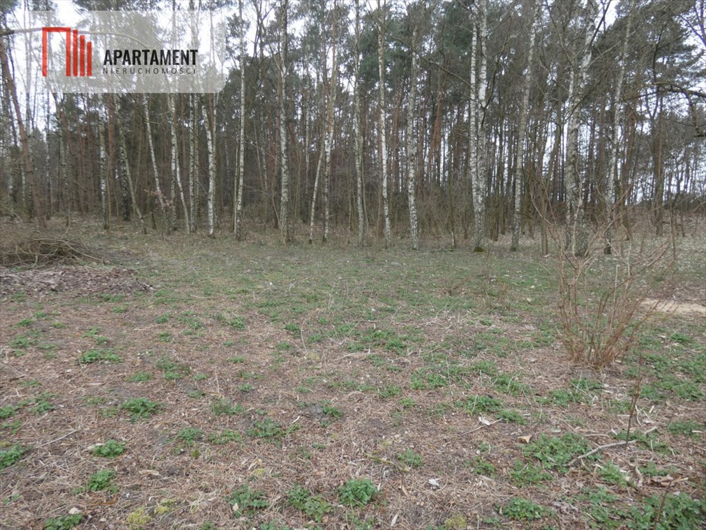 Działka rekreacyjna na sprzedaż Józefowo  7 360m2 Foto 1